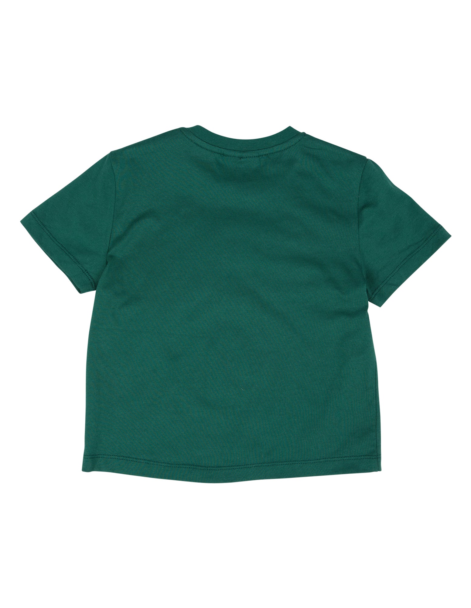 Animal Crackers Summer Raffi Tee - Teal